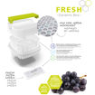 Immagine di Contenitore per alimenti Dynamic Box Fresh - 1,6 L - Rotho [F710256]
