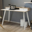 Immagine di Postazione Home-Office - con sopralzo - gambe in metallo -120 x 60 x H 74,4 cm - bianco / rovere - Artexport [207-DJB-3C-AM]