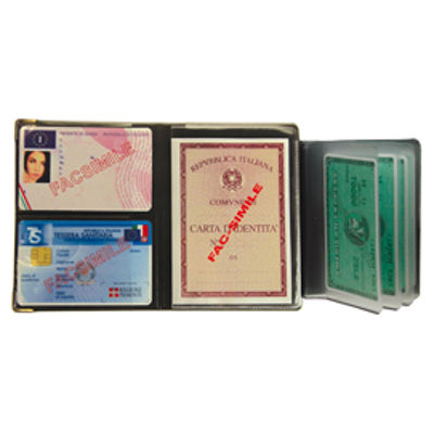 Immagine di Portadocumenti - multicard special - PVC - colori assortiti 1060S- Alplast - conf. 24 pezzi [1060S]
