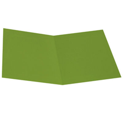 Immagine di Cartellina semplice - 200 gr - cartoncino bristol - verde nilo - Starline - conf. 50 pezzi [OD0113BLXXXAJ18]