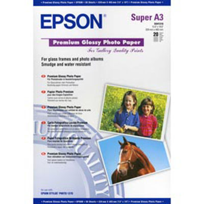 Immagine di Epson - Carta Fotografica Lucida Premium - C13S041316 [C13S041316]