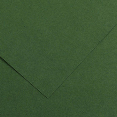 Immagine di Foglio Colorline - 70x100 cm - 220 gr - verde abete - Canson [200041217]
