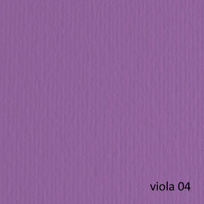 Immagine di Cartoncino Elle Erre - 50x70cm - 220gr - viola 104 - Fabriano - blister 20 fogli [42450704]