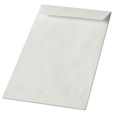 Immagine di Busta a sacco bianca - lembo non gommato - 80x120 mm - 50 gr - Blasetti - conf. 2000 pezzi [303]