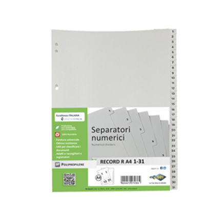 Immagine di Separatore Numerico Ppl 1/31 Sei Rota Record R 21X29.7Cm (A4) Grigio [581301]