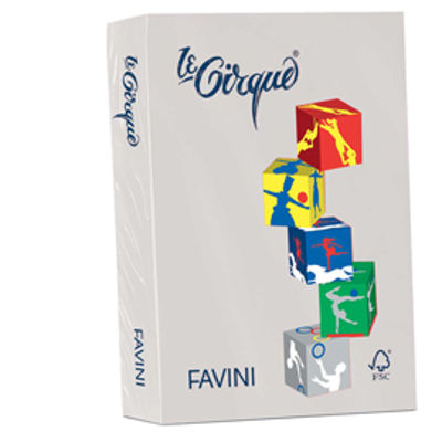 Immagine di Confezione 500 Fogli Favini Le Cirque A4 80gr Grigio pastello 109 [A71U504]