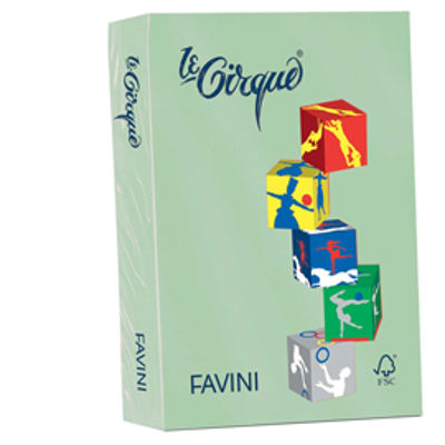 Immagine di Confezione 500 Fogli Favini Le Cirque A4 160gr Verde Pastello 107 [A74P304]