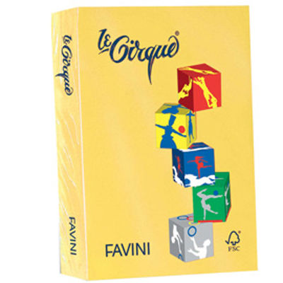 Immagine di Confezione 500 Fogli Favini Le Cirque A4 160gr Giallo Sole 202 [A74B304]