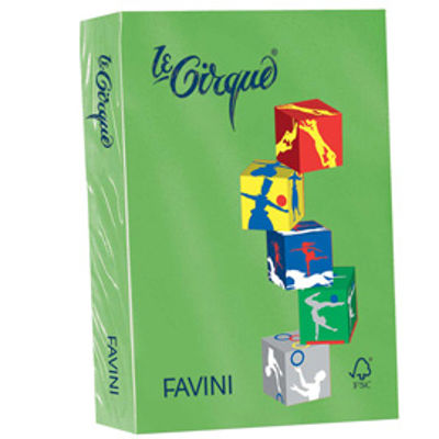 Immagine di Confezione 500 Fogli Favini Le Cirque A4 160gr Verde Prato 203 [A74M304]