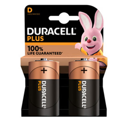 Immagine di Blister 2pz. Pila Torcia Duracell D Plus100 MN1300 [GILMN1300]