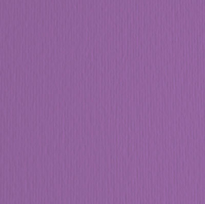 Immagine di Cartoncino Elle Erre - 70x100cm - 220gr - viola 104 - Fabriano - blister 10 fogli [46470104]