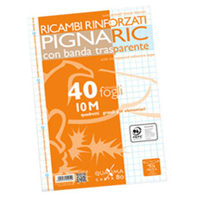 Immagine di RIC. BIANCHI RINF. A4 PIGNARIC RIG Q10MM [021945910]