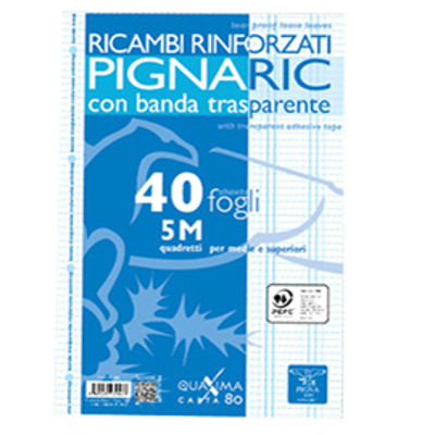 Immagine di RIC. BIANCHI RINF. A4 PIGNARIC RIG Q5MM [02194595M]