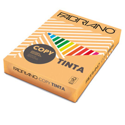 Immagine di CARTA COPY TINTA A3 80GR 250FG COL.TENUE ALBICOCCA [61329742]