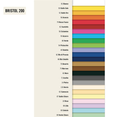 Immagine di Cartoncino Bristol Color - 70x100cm - 200gr  [PAL260]