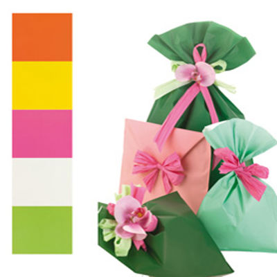 Immagine di Buste regalo Mat Pearly B - in PPL - assortimento 5 colori - 16 x 25cm - PNP - conf. 100 buste [UD805PRR 16X25]