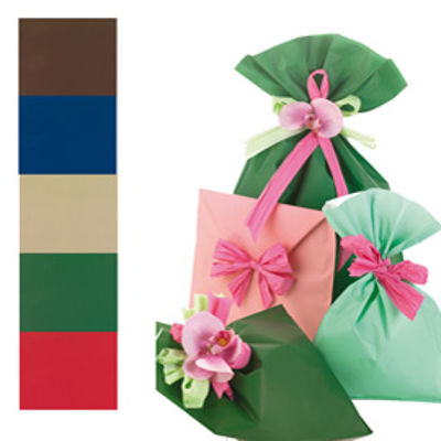 Immagine di 100 BUSTE REGALO IN PPL MAT A everyday classic 16x25cm 5 colori assortiti [UD805PRR A 16X25]