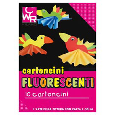 Immagine di Cartelli fluo - senza scritte - 35x50 cm - 260 gr - colori assortiti - CWR - conf. 10 pezzi [334]