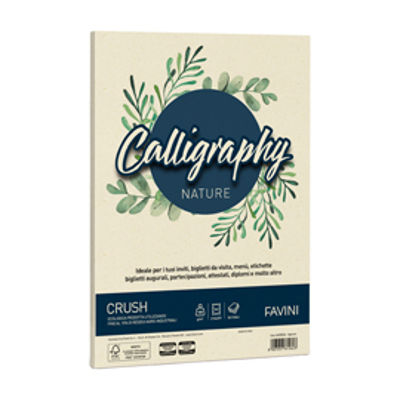 Immagine di Carta CALLIGRAPHY NATURE A4 50fg 100gr agrumi FAVINI [A69Q534]