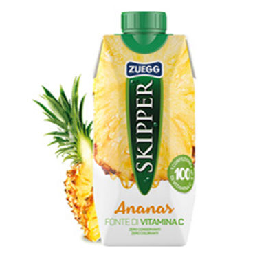 Immagine di Succo Skipper gusto ANANAS BRICK 330ml Zuegg [ZUFAN]