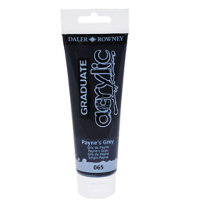 Immagine di Colore acrilico fine Graduate - 120 ml - grigio payne - Daler Rowney [D123120065]