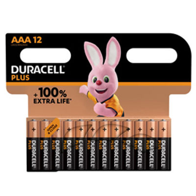 Immagine di BL.12 PILE DURACELL PLUS MINISTILO AAA [MN2400B12]