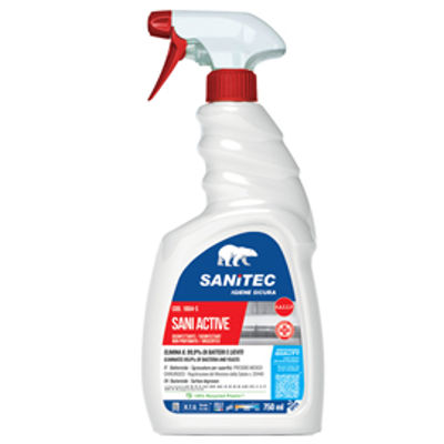 Immagine di Disinfettante sgrassatore Sani Active 750ml [1804-S]