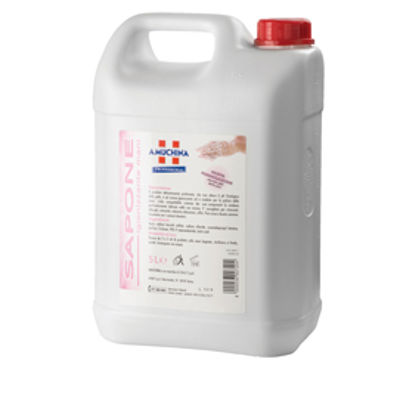 Immagine di Sapone igienizzante mani - 5 L - Amuchina Professional [420011]