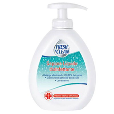 Immagine di Sapone liquido disinfettante - 300 ml - Fresh&Clean [7-1133]