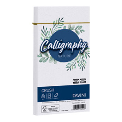 Immagine di Busta Calligraphy Nature Crush - 110 x 220 mm - 120 gr - uva - Favini - conf. 25 pezzi [A57V104]