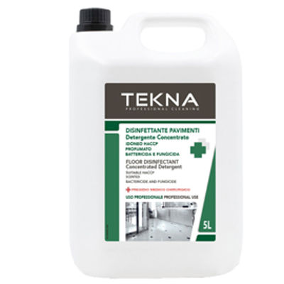 Immagine di Disinfettante detergente - per pavimenti - concentrato - 5 lt - Tekna [k006]