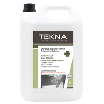 Immagine di Sapone disinfettante - senza profumo - 5 lt -Tekna [k009]