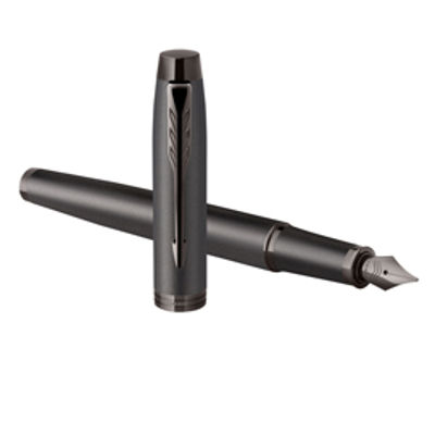 Immagine di Stilo IM Monochrome - punta media - bronze - Parker [2172959]