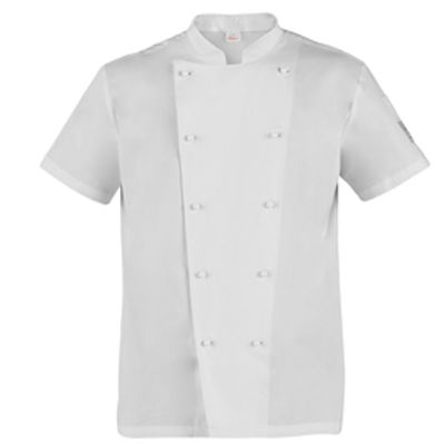 Immagine di Giacca da cuoco Tommaso - a manica corta - taglia XXL - bianco - Giblor's [Q8G00185-C01-XXL]