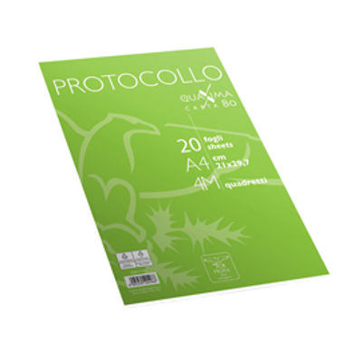 Immagine di Fogli protocollo - A4 - 4 mm - 80 gr - Pigna - conf. 20 pezzi [02322644M]