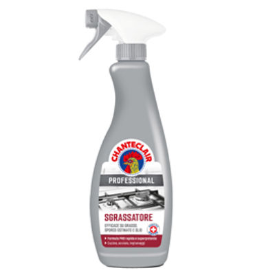 Immagine di Chanteclair Professional sgrassatore universale 700ml in trigger [60IH20IT]