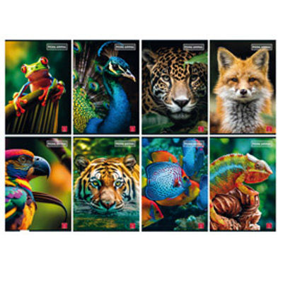 Immagine di Maxiquaderno Animal - A4 - 10 mm - 42 fogli - 80 gr - Pigna [023301310]