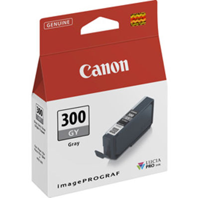 Immagine di Canon Cartuccia PFI-300 Grigio [4200C001]