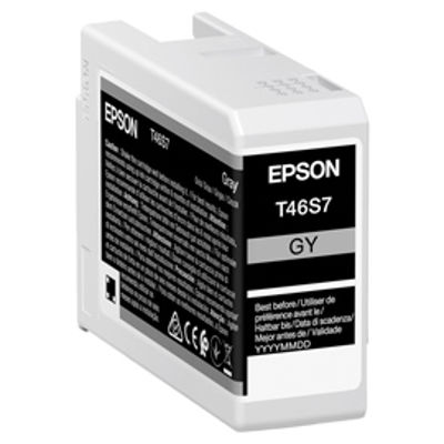 Immagine di Epson Cartuccia Grigio UltraChrome Pro 10 ink 25ml [C13T46S700]