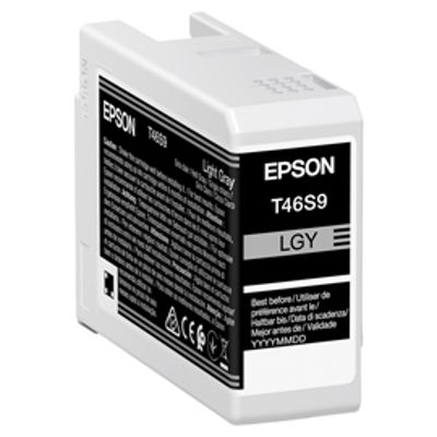 Immagine di Epson Cartuccia Grigio UltraChrome Pro 10 ink 25ml [C13T46S900]