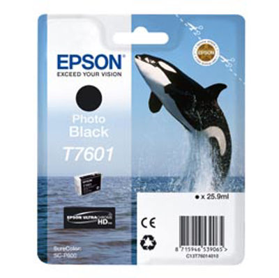 Immagine di Epson - Cartuccia ink - Nero Photo - T7601 - C13T76014010 - 25,9ml [C13T76014010]