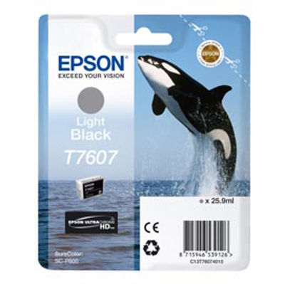 Immagine di Epson - Cartuccia ink - Nero chiaro - T7607 - C13T76074010 - 25,9ml [C13T76074010]